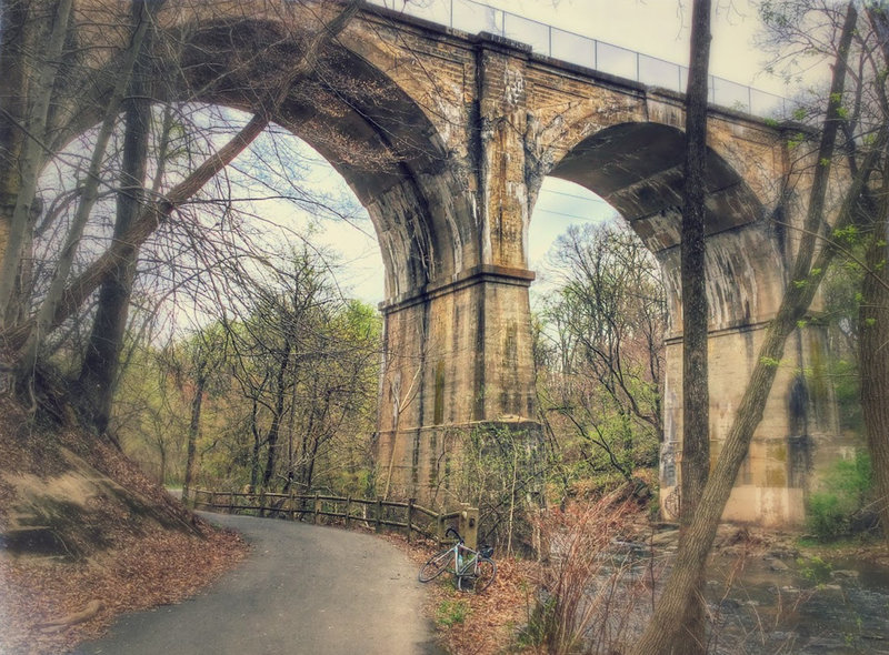 It's a smooth going pedal along the Pennypack Trail.