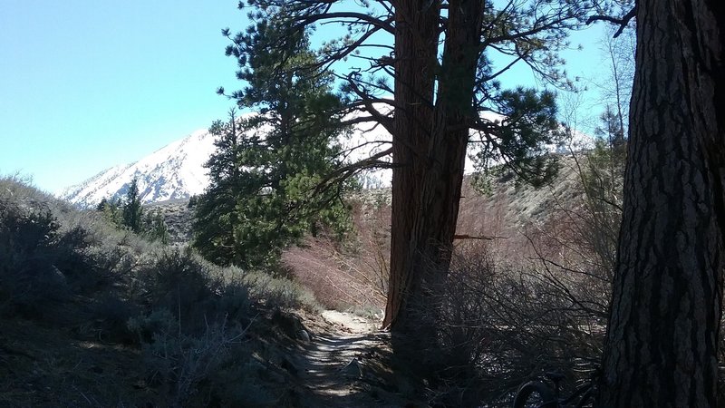 Lower Rock Creek Trail