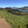 Looking south over the Columbia River from the Little Maui Trail.