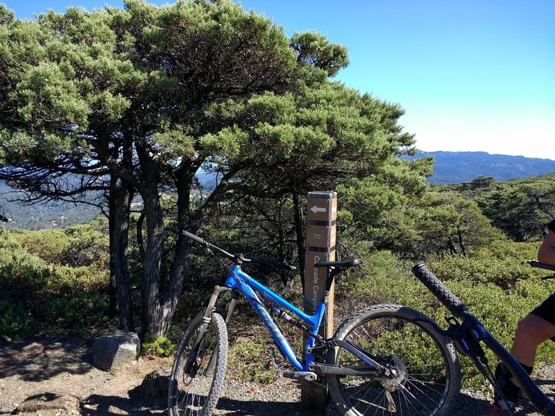 Taking a break at the Repack Road and San Geronimo Ridge Road intersection.