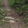 limestone rock armor in the tread helps prevent trail erosion.