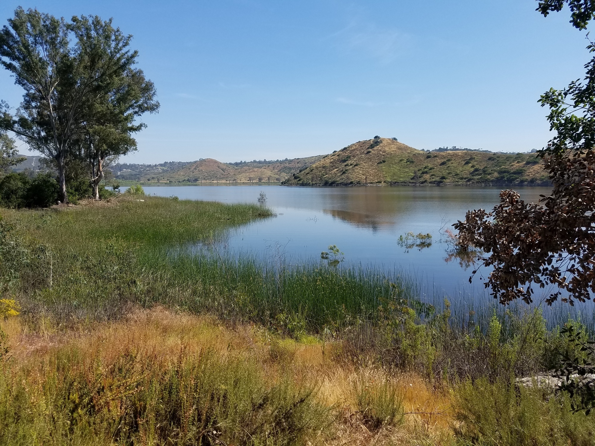 Awesome views of Lake Hodges after the winter rains.