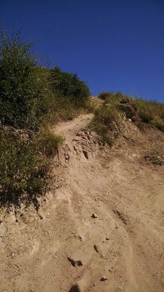 Hawk's second drop is smaller, but tighter!