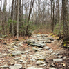 Rocks, rocks, and more rocks along the Fender trail.