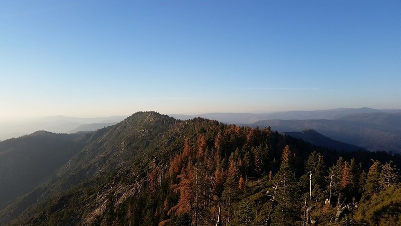 Looking into Yosemite from the top of Devils Peak.