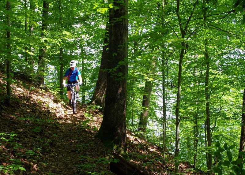 Buckskin Trail traverses dense forest with Cave Run Lake in the background.