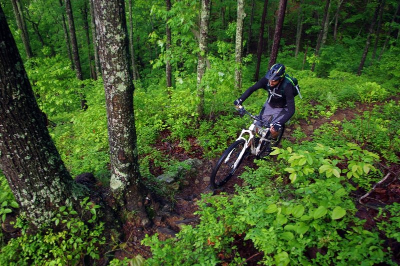 A rider finds rocky and rooty nirvana on the Cave Run Trail.