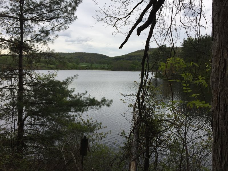 View across the lake from the Colyer Lake Trail.