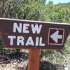 I've been asked "what is the name of the trail from the Green's Lake TH to Lava Flow?" If signage means anything, it's "New Trail."