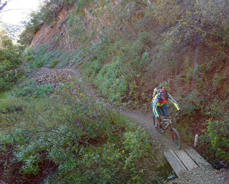 Dropping into the 'horse trough' about halfway up Gridley. This shady spot is a good place to rest and regroup before the switchbacks start.