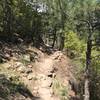 This narrow and rocky singletrack makes for a fun ride.