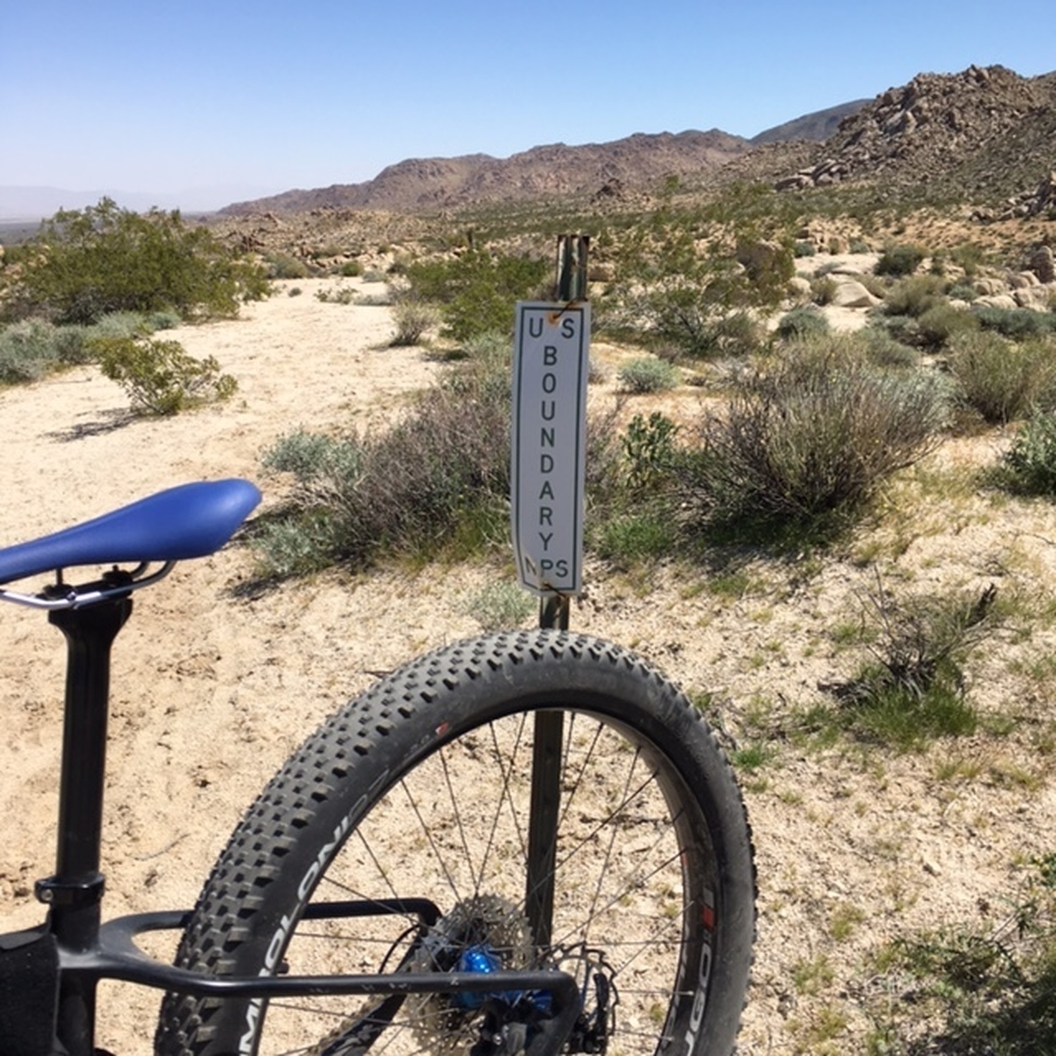 road cycling joshua tree