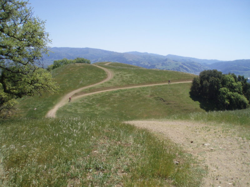 Looking back along the Ridgeline Trail.