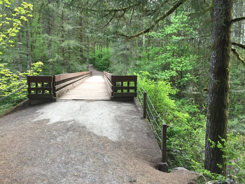 East Fork Of The Lewis River Trail