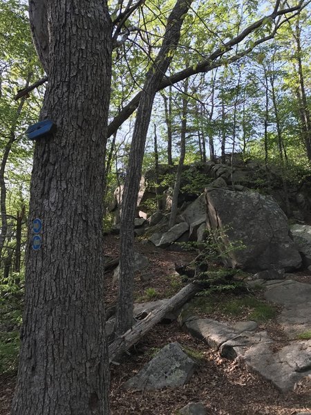 Weetamoo Woods Trail Map High Rock Near The Blue Trail Weetamoo Woods Trail Map High Rock Near The Blue Trail