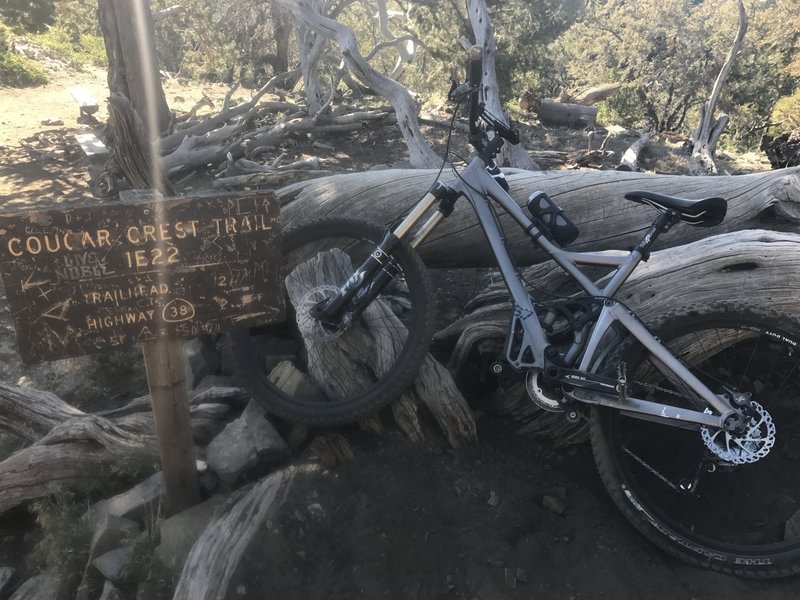 Cougar Crest Trail