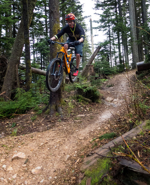 Airing off the stump on the Summit Trail.