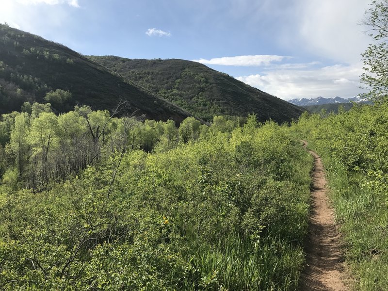 Scenic views on the Mormon Pioneer Trail.