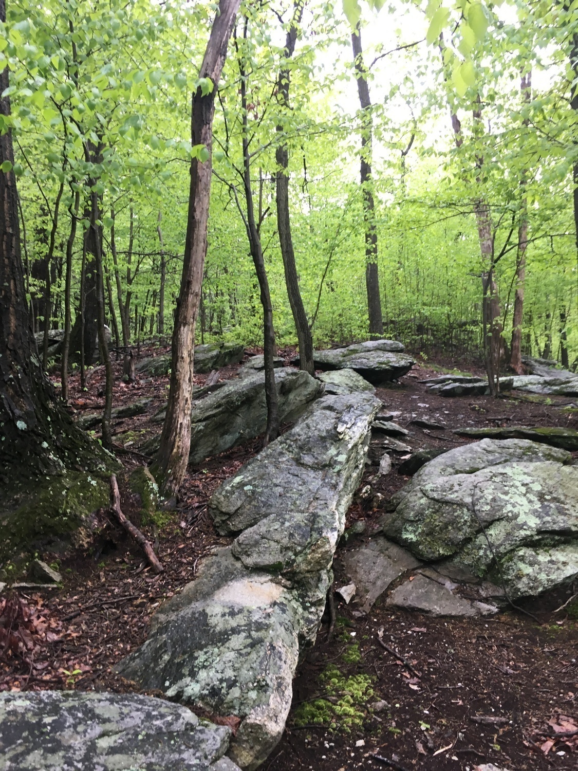 Interesting rock formations on the top of the mountain.