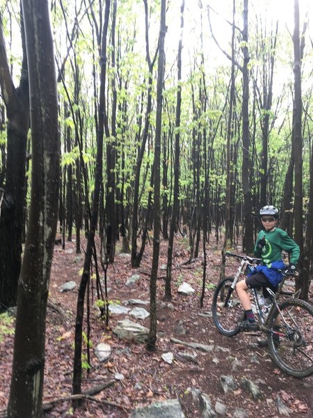 michaux state forest mountain biking