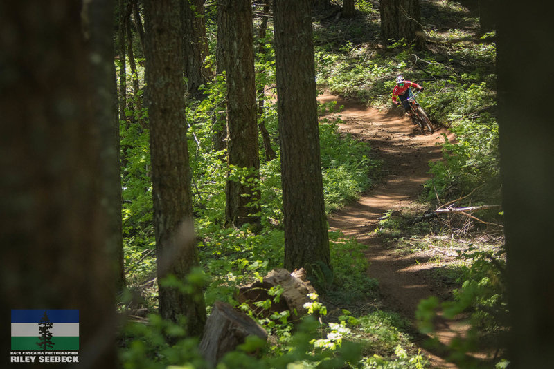 Flow is found on Mitchells Ridge before turning slowly into steep tight trees.