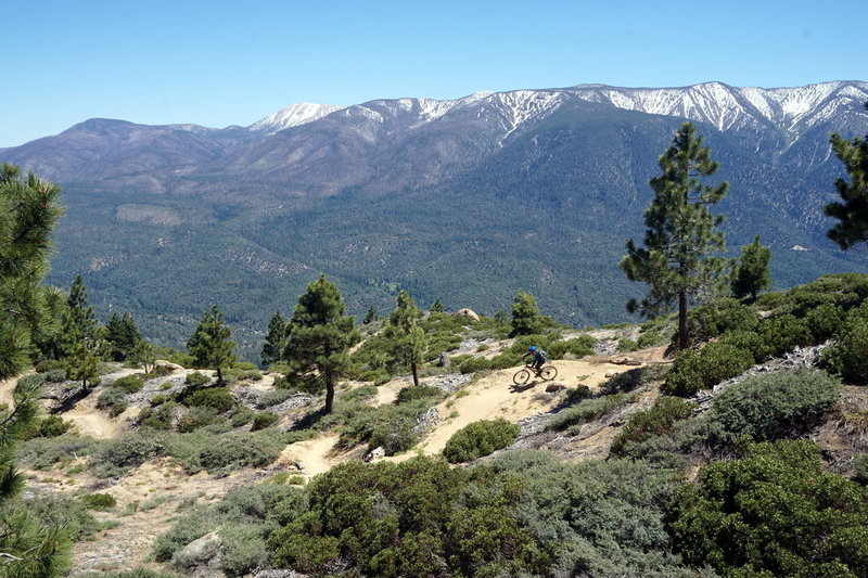 Looking out towards Seven Oaks from the Skyline Ridge. Patrick navigates some of the contouring switchbacks that make the Skyline trail fun in either directions.