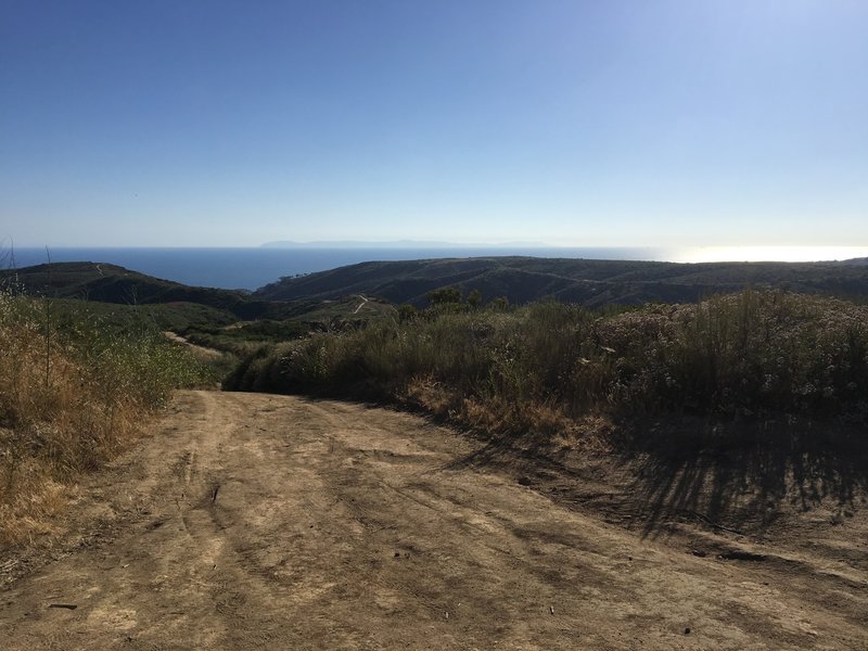 Great views from the Bommer Ridge Road and Boat Road intersection.