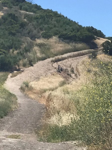 El Escorpion Trail