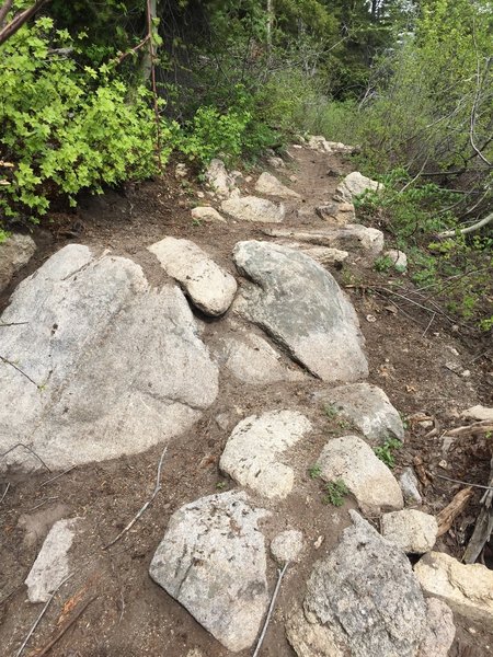 One of the various rocky sections on Mahalo. Fun and not too technical.