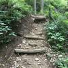 Eroded stairs at the end of the Farlow Gap trail.