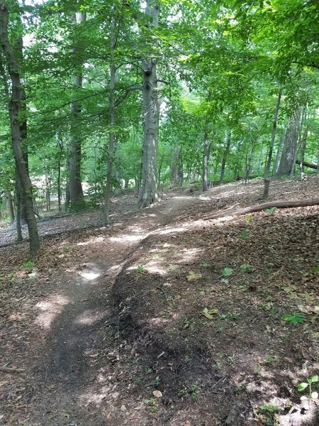 Crossbow Trail Mountain Bike Trail, Bala-Cynwyd, Pennsylvania