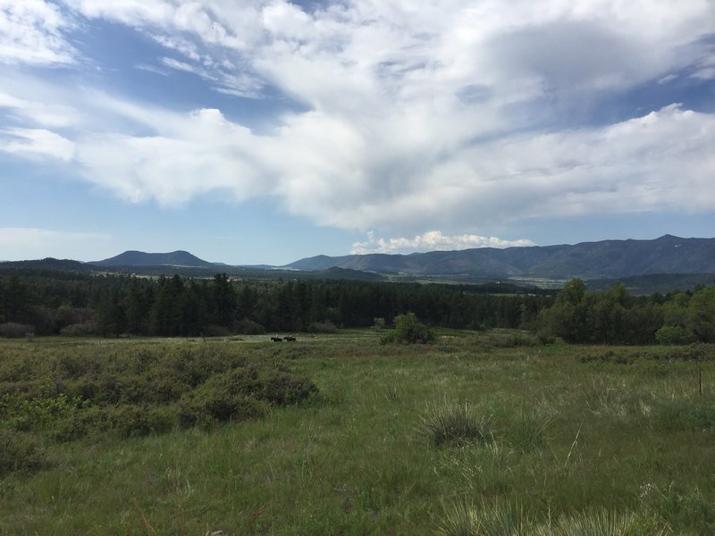 A peaceful meadow and the Front Range Foothills.