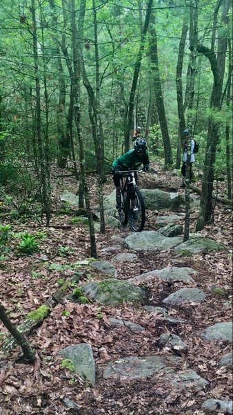 michaux state forest mountain biking