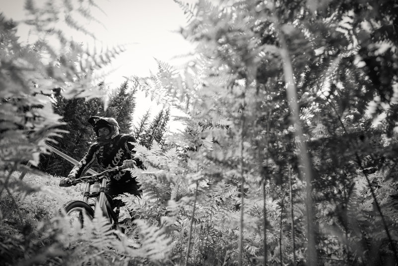 Freeride Trail #1