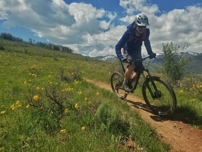 Spring Riding Spring riding only gets better when the wildflowers are out! Photo by ...