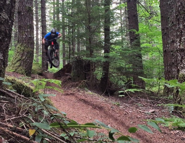 Lower Timberline opens up for some speedy sections.
