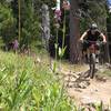 Mid-summer dust fest on Knebal Springs loop