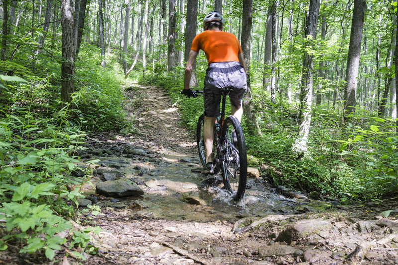 green mountain bike trail