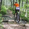 Flat Creek Loop offers a number of opportunities to get your tires wet.