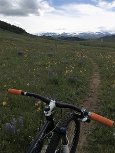 grouse mountain bike trails