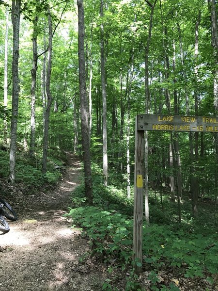 Norris Watershed Mountain Bike Trail, Norris, Tennessee