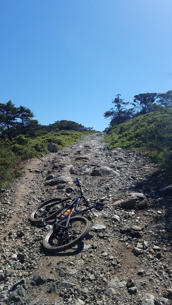 On the way to Repack, after miles of riding on exposed fire roads you're rewarded with this gem just before the summit.