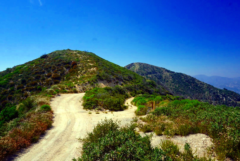 Lukens/Grizzly Flat/Hoyt Mtn Loop