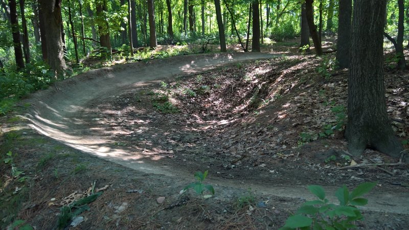 theodore wirth mountain bike trails