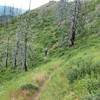 The Warm Springs Trail serves up alpine singletrack in all its glory.