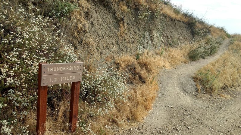 Crafton Hills Ridge Trail