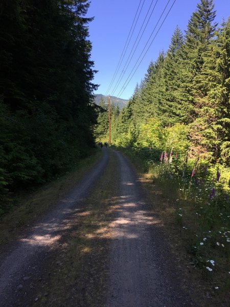 The wide gravel trail makes for easy going.