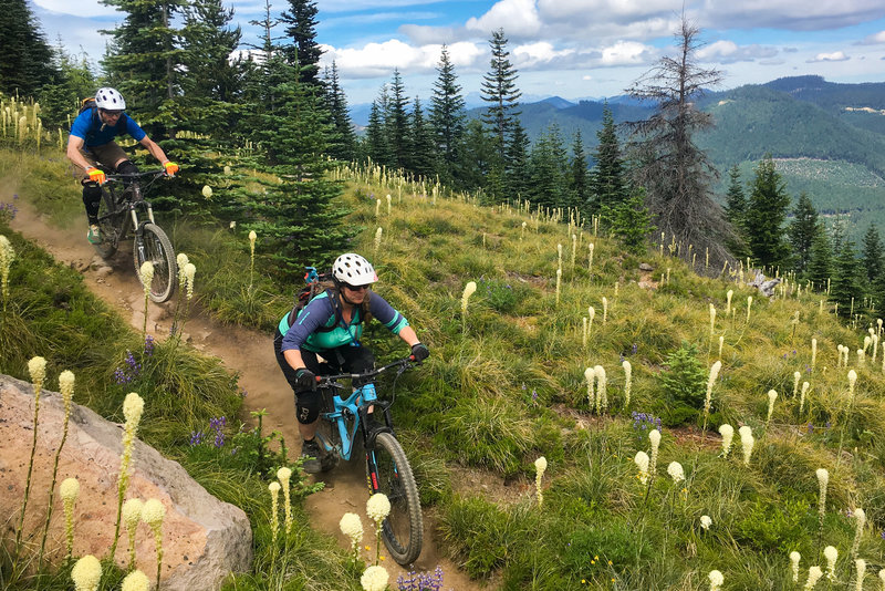 Suntop Trail #1183