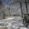 The sound of melting icicles falling to the forest floor all around you is surprisingly tranquil. The sound of a large branch falling in the road 50 feet behind you not so much... but it will make you ride faster!