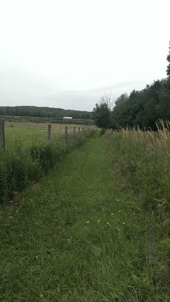 Another quick jog on a connector road, then into another private field with I-86 in the distance!